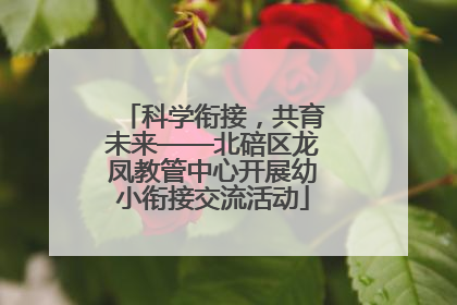 科学衔接，共育未来——北碚区龙凤教管中心开展幼小衔接交流活动
