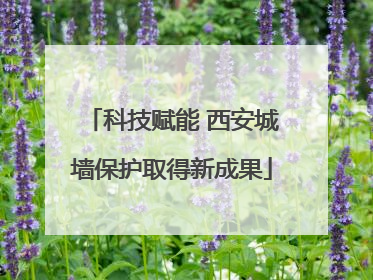科技赋能 西安城墙保护取得新成果