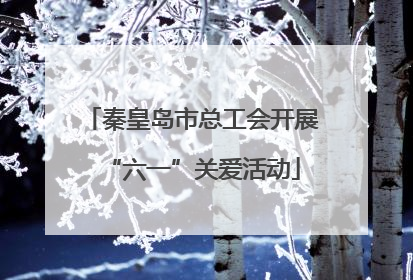 秦皇岛市总工会开展“六一”关爱活动