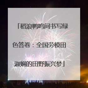 稻浪鸭鸣间书写绿色答卷：全国劳模田淑娴的田野振兴梦