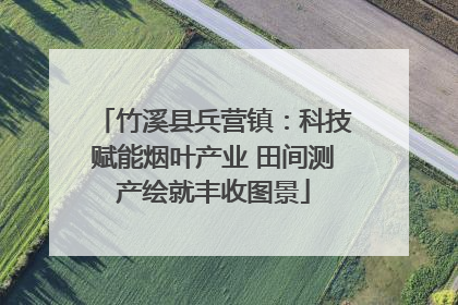 竹溪县兵营镇：科技赋能烟叶产业 田间测产绘就丰收图景