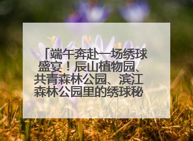 端午奔赴一场绣球盛宴！辰山植物园、共青森林公园、滨江森林公园里的绣球秘境在这里