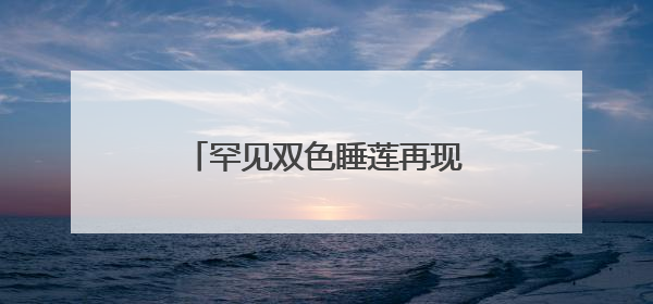 罕见双色睡莲再现济南大明湖，网友直呼“好运莲莲”