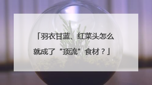 羽衣甘蓝、红菜头怎么就成了“顶流”食材？