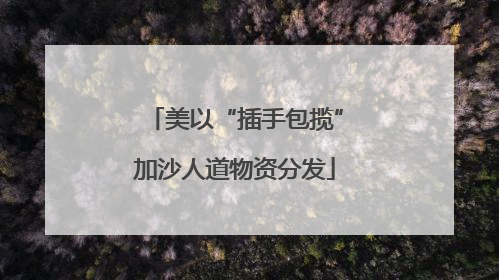 美以“插手包揽”加沙人道物资分发