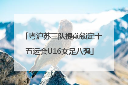 粤沪苏三队提前锁定十五运会U16女足八强