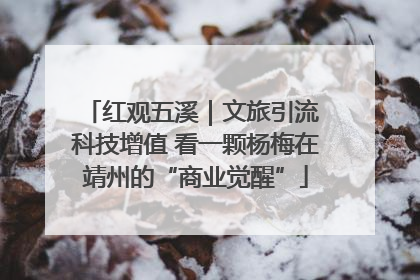 红观五溪｜文旅引流 科技增值 看一颗杨梅在靖州的“商业觉醒”