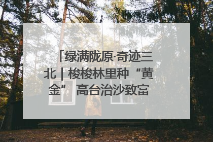 绿满陇原·奇迹三北｜梭梭林里种“黄金” 高台治沙致富很“从容”