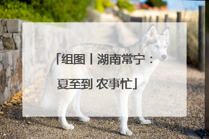 组图丨湖南常宁：夏至到 农事忙