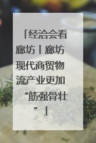经洽会看廊坊丨廊坊现代商贸物流产业更加“筋强骨壮”