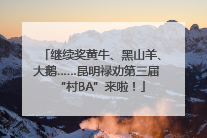 继续奖黄牛、黑山羊、大鹅……昆明禄劝第三届“村BA”来啦！