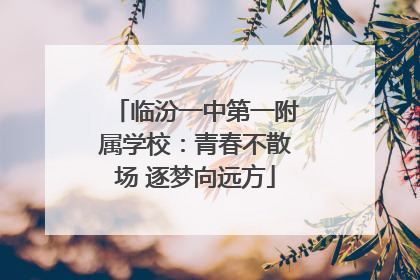 临汾一中第一附属学校：青春不散场 逐梦向远方