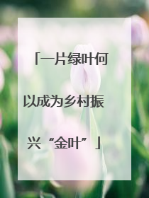 一片绿叶何以成为乡村振兴“金叶”