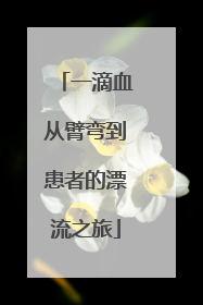 一滴血从臂弯到患者的漂流之旅
