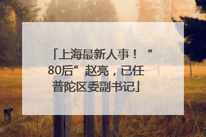 上海最新人事！“80后”赵亮，已任普陀区委副书记