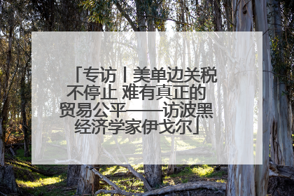 专访丨美单边关税不停止 难有真正的贸易公平——访波黑经济学家伊戈尔
