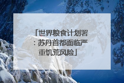 世界粮食计划署：苏丹首都面临严重饥荒风险