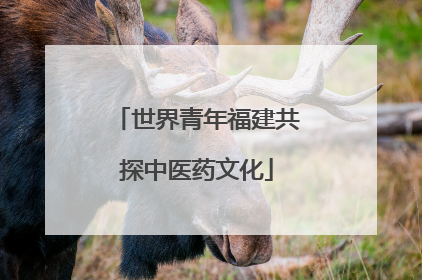 世界青年福建共探中医药文化