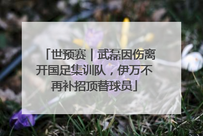 世预赛｜武磊因伤离开国足集训队，伊万不再补招顶替球员