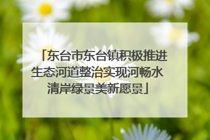 东台市东台镇积极推进生态河道整治实现河畅水清岸绿景美新愿景