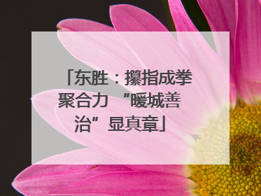 东胜：攥指成拳聚合力 “暖城善治”显真章