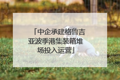 中企承建格鲁吉亚波季港集装箱堆场投入运营