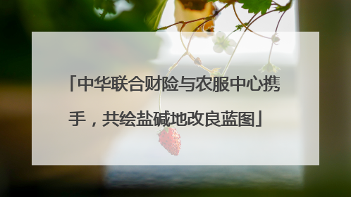 中华联合财险与农服中心携手，共绘盐碱地改良蓝图