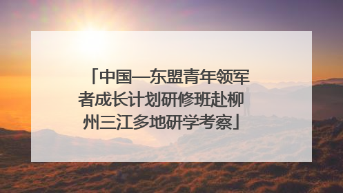 中国—东盟青年领军者成长计划研修班赴柳州三江多地研学考察