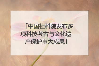 中国社科院发布多项科技考古与文化遗产保护重大成果