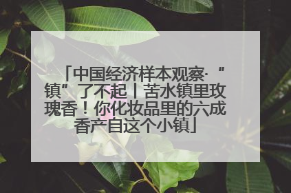 中国经济样本观察·“镇”了不起丨苦水镇里玫瑰香！你化妆品里的六成香产自这个小镇