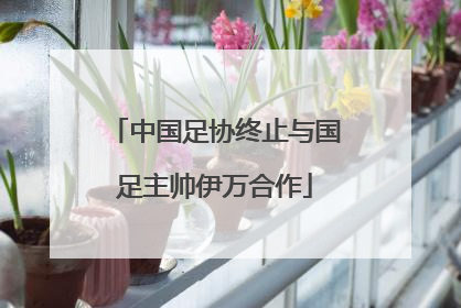 中国足协终止与国足主帅伊万合作