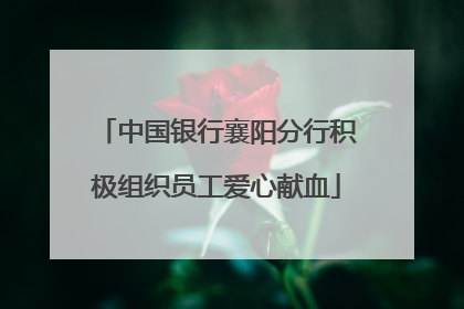 中国银行襄阳分行积极组织员工爱心献血