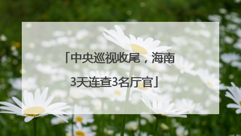 中央巡视收尾，海南3天连查3名厅官