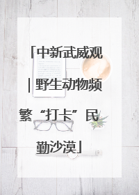 中新武威观｜野生动物频繁“打卡”民勤沙漠