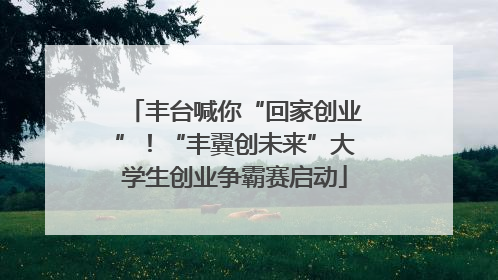 丰台喊你“回家创业”！“丰翼创未来”大学生创业争霸赛启动