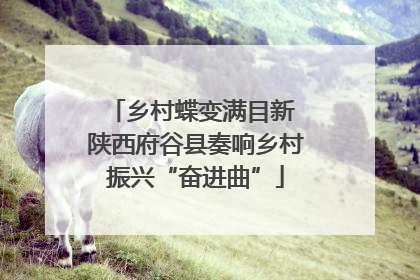 乡村蝶变满目新 陕西府谷县奏响乡村振兴“奋进曲”