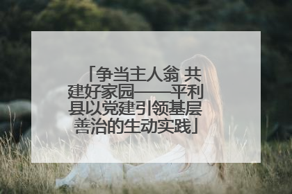 争当主人翁 共建好家园——平利县以党建引领基层善治的生动实践