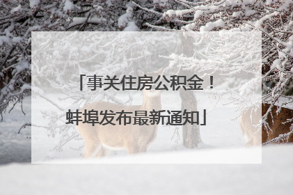 事关住房公积金！蚌埠发布最新通知