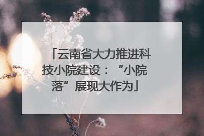 云南省大力推进科技小院建设：“小院落”展现大作为