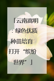 云南嵩明：绿色优质种苗培育 打开“缤纷世界”