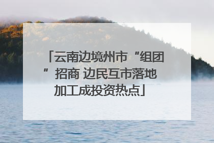云南边境州市“组团”招商 边民互市落地加工成投资热点
