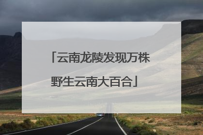 云南龙陵发现万株野生云南大百合