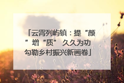 云霄列屿镇：提“颜”增“质” 久久为功勾勒乡村振兴新画卷