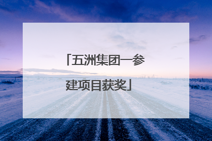 五洲集团一参建项目获奖