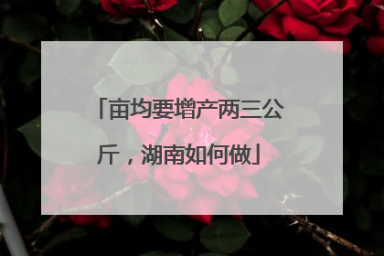 亩均要增产两三公斤，湖南如何做