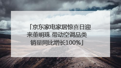 京东家电家居惊喜日迎来董明珠 带动空调品类销量同比增长100%