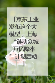 京东工业发布这个大模型，上海“链动众城 万亿降本”计划启动
