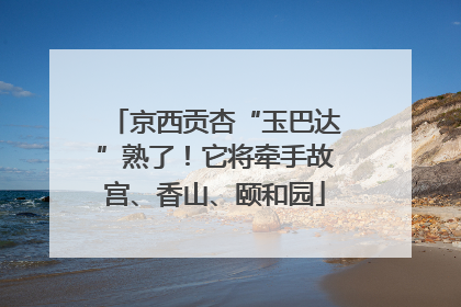京西贡杏“玉巴达”熟了！它将牵手故宫、香山、颐和园
