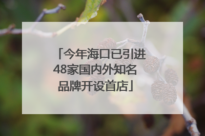 今年海口已引进48家国内外知名品牌开设首店
