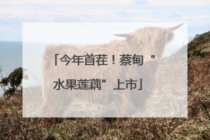 今年首茬！蔡甸“水果莲藕”上市